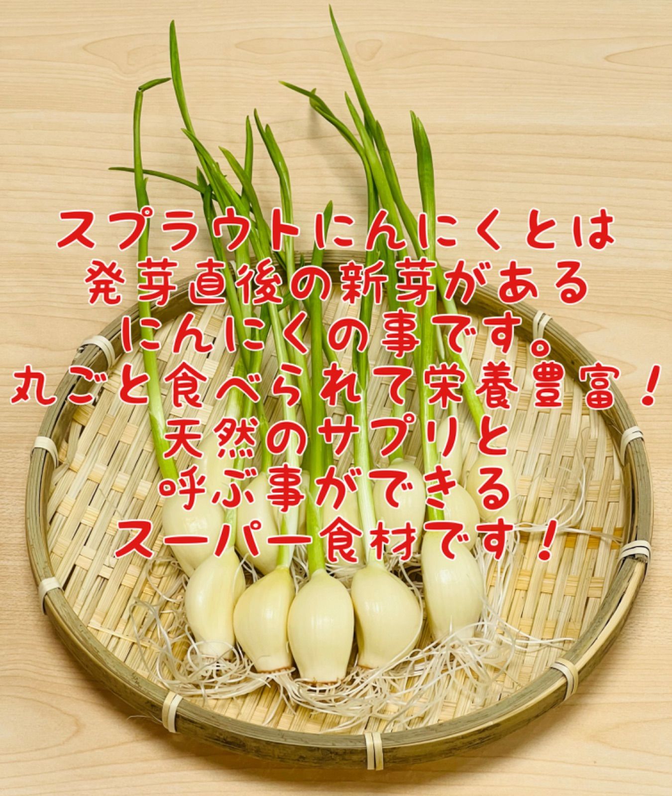 お取り寄せ】 スプラウトにんにく 発芽にんにく 50本 にんにく親方 tdh