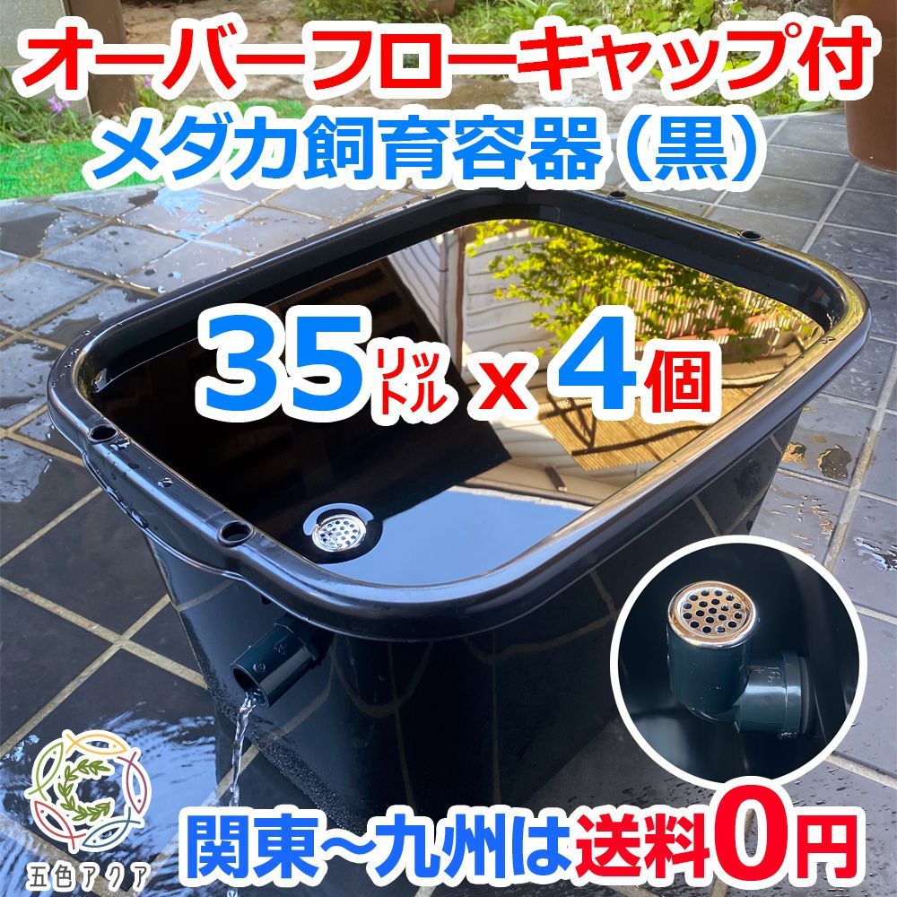 新タイプ】メダカ飼育ケース 35㍑黒x4個 オーバーフローキャップ付 