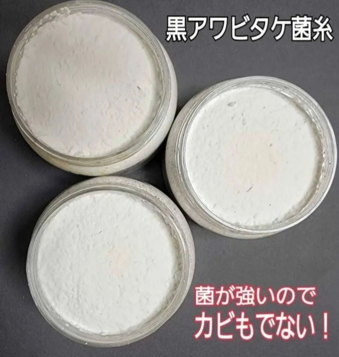 10本セット 特殊アミノ酸強化配合