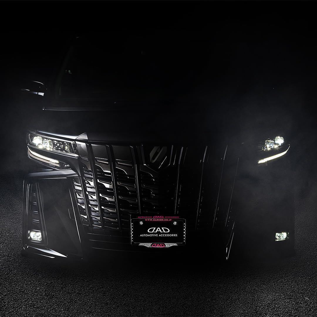 ディー.エー.ディー D.A.D D.A.D クリスタル ライセンスフレームII フロントモデル ブラック|ピンク クリスタル SB194-01-01 DAD ギャルソン GARSON