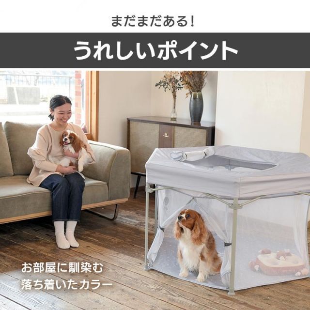 サークル