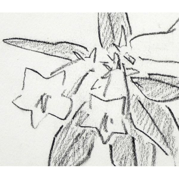 ピンク水着の美人キャラクター色鉛筆画 （からぴち えと」の