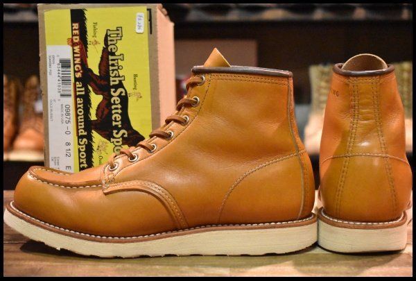 9875 アイリッシュセッター