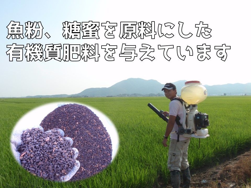 のサムネイル