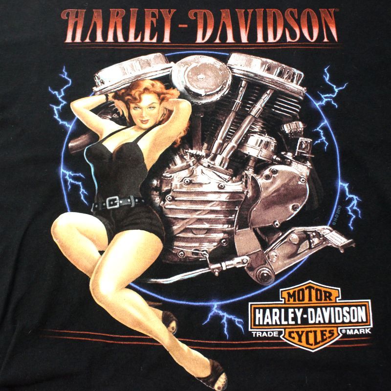 Harley-Davidson フレイム柄 半袖ジャケット M 4594090bce25082e7a3bae703c57d5