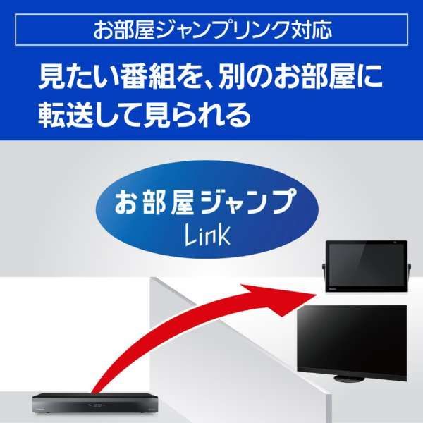 ディーガ 3TB