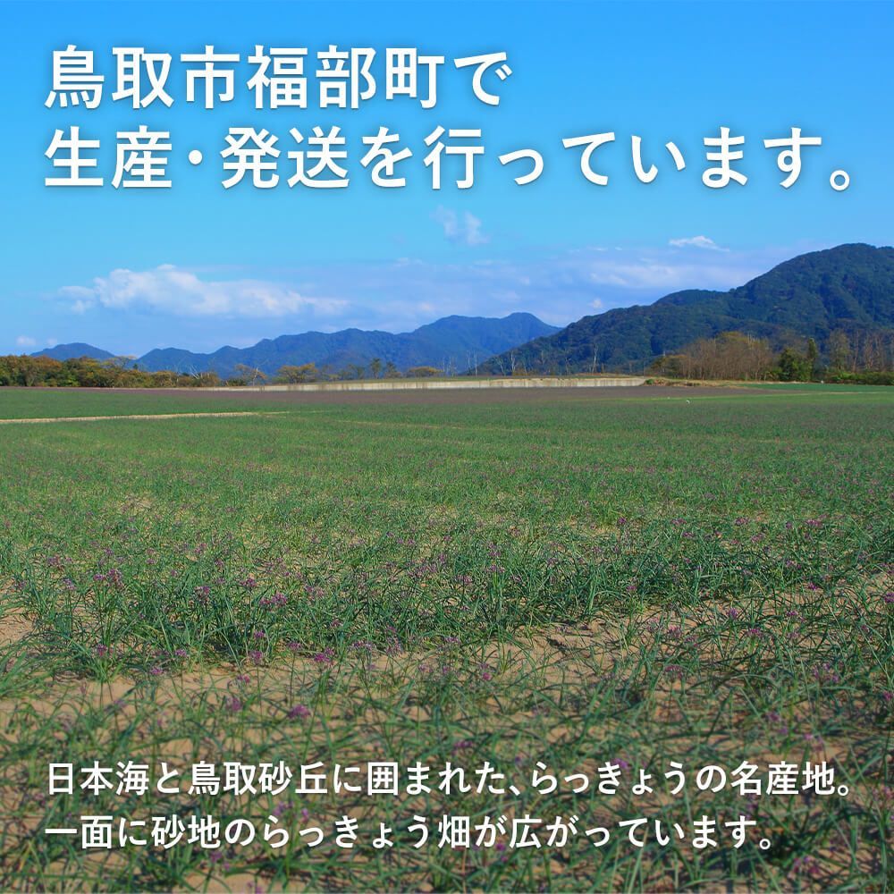 SML混在 5月下旬