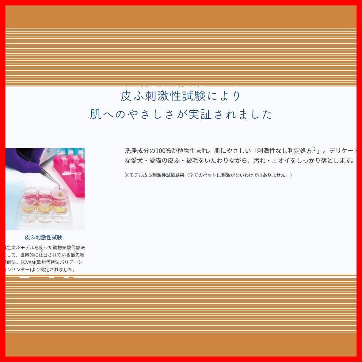 ライオン