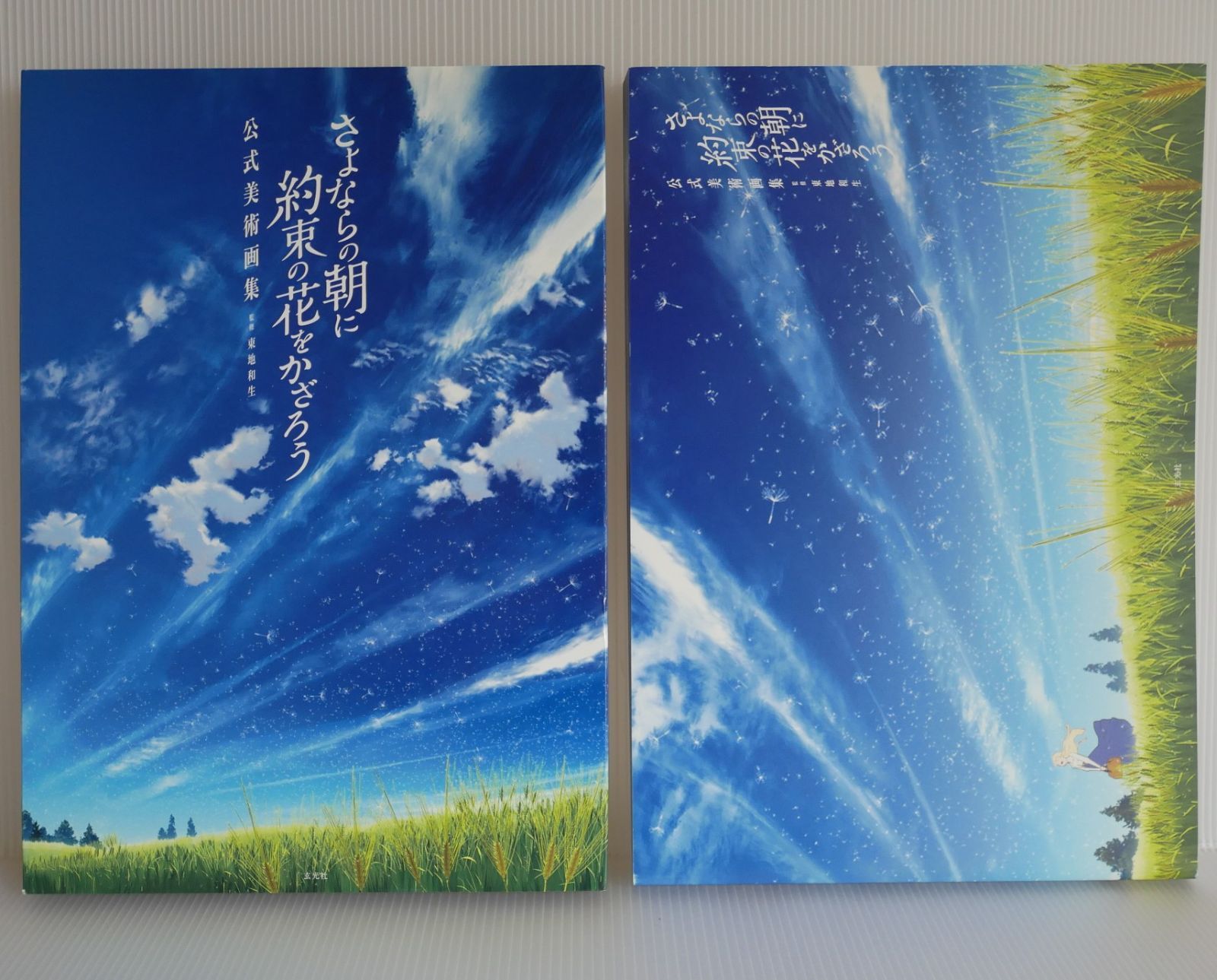 絶版 さよならの朝に約束の花をかざろう 公式美術画集 Maquia: When