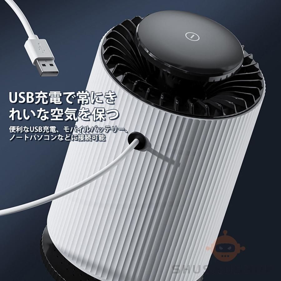 エアクリーナー カビ取り