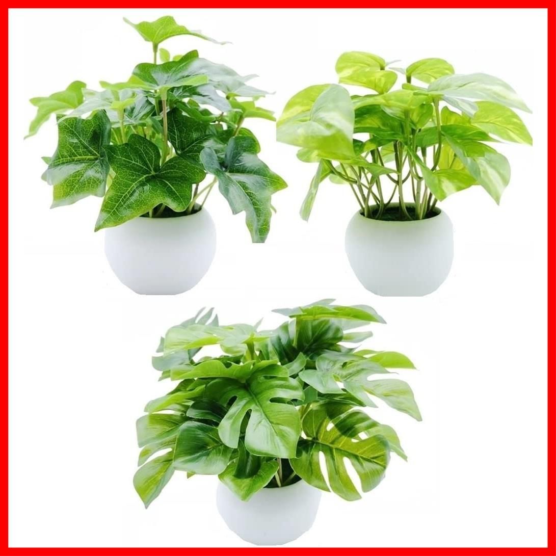 MedianField 観葉植物 光触媒 ミニ 鉢植え セット 消臭 ＆ 抗菌 フェイクグリーン 造花 鉢 人工観葉植物 おしゃれ インテリア 雑貨 人工 フェイク グリーン 卓上 緑 植物 葉 小さい ギフト モン