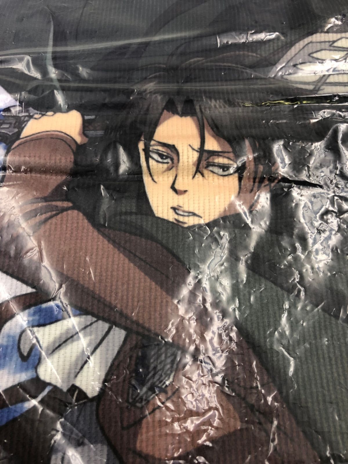 一番くじ 進撃の巨人 ～生還せよ!調査兵団～ ラストワン賞 スペシャル