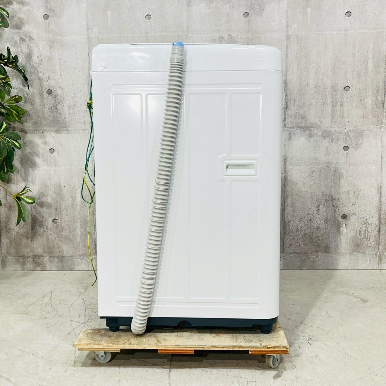 5.0kg 20
