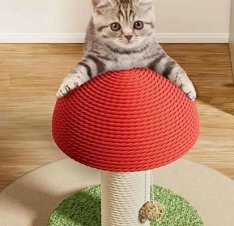 吊り下げるおもちゃ付き かわいい猫の遊びとトレーニングアクセサリー*2