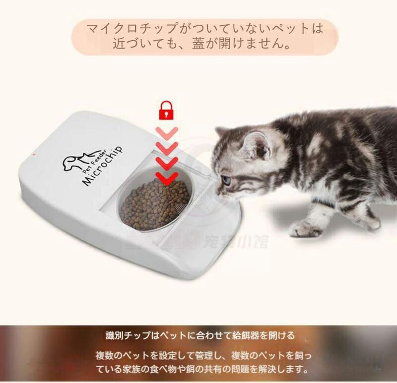 ねこネコ