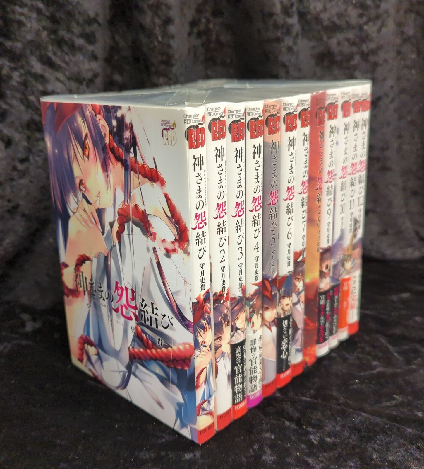 秋田書店 チャンピオンレッドコミックス 守月史貴 神さまの怨結び 全12巻 セット