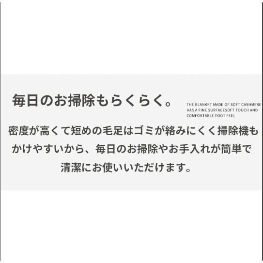 ラグ