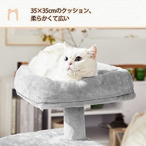 【M2090-64-36】キャットタワー ミニ子猫やシニア猫にお勧め 楽天市場】FEANDREA キャットタワー ミニ 子猫やシニア猫にお