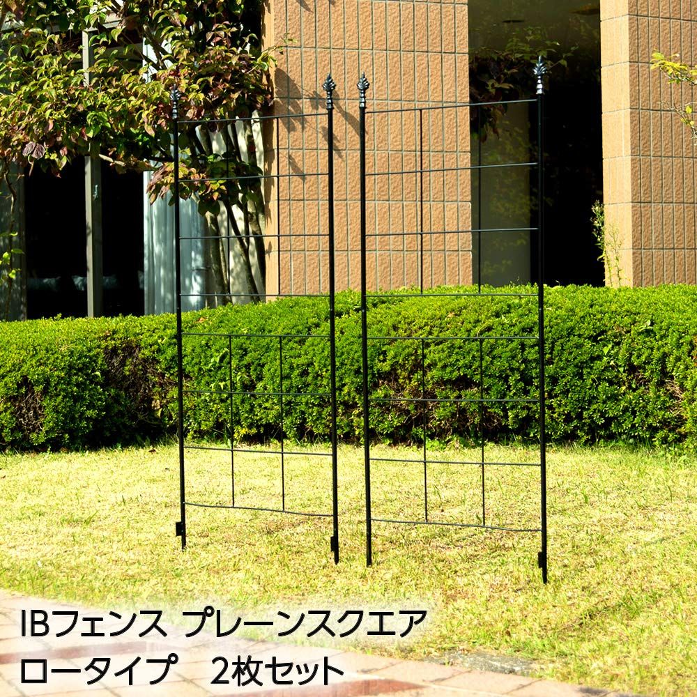 2枚セット ブラック