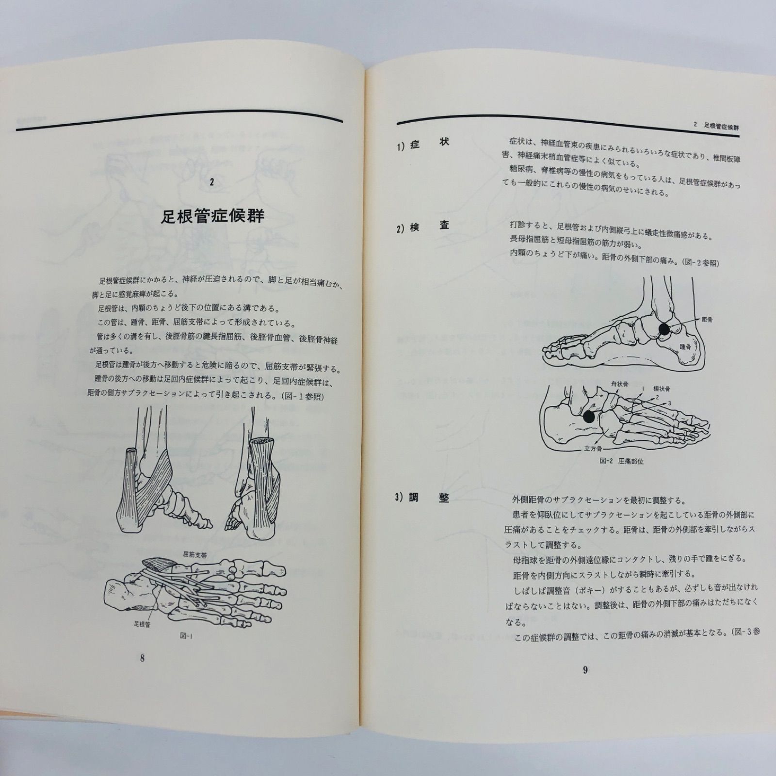 図説 図説 AKのテクニック 応用編 アプライド・キネシオロジーの理論と