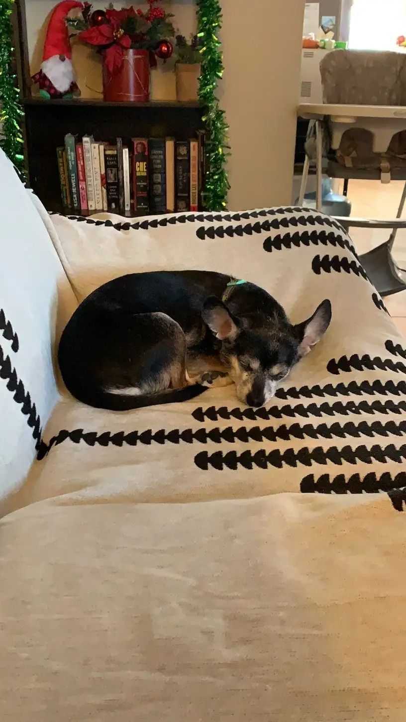 シンプル おしゃれ