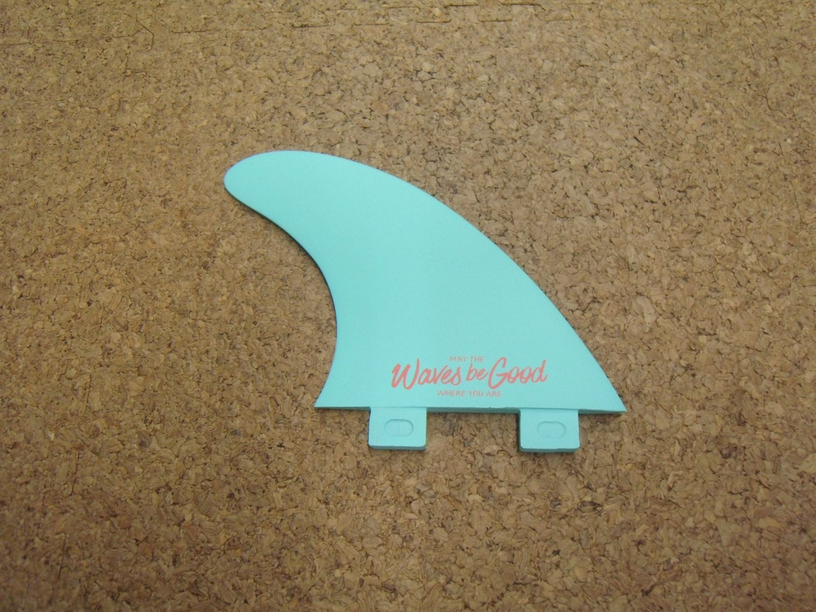 FINS