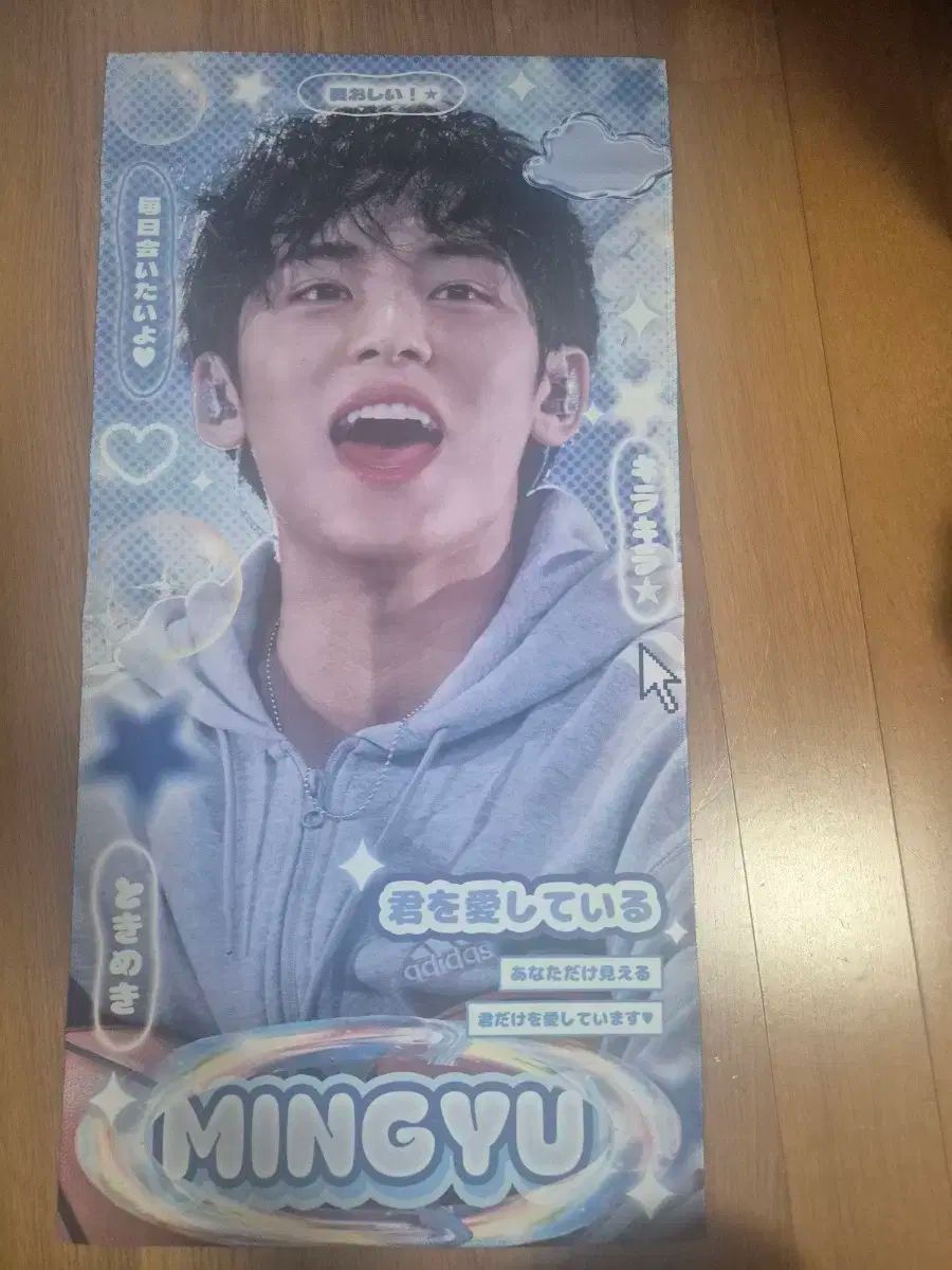 SEVENTEEN(セブンティーン・セブチ) ミンギュ(MINGYU) マスター 反射