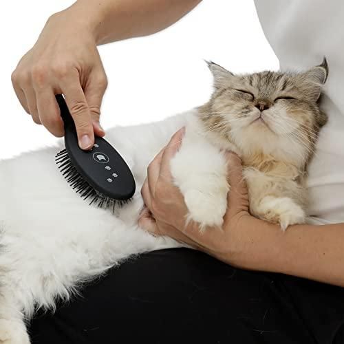猫壱 ブラシを嫌がる猫もとろける魔法のブラシ