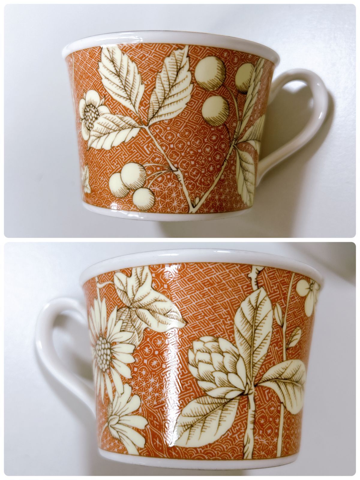 デルフィーナ フランシス