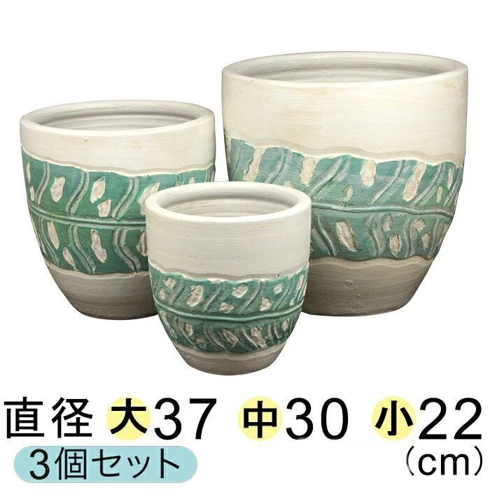 多肉用 テラリウム 苔リウム サボテン アガベ 苔・多肉植物・サボテン