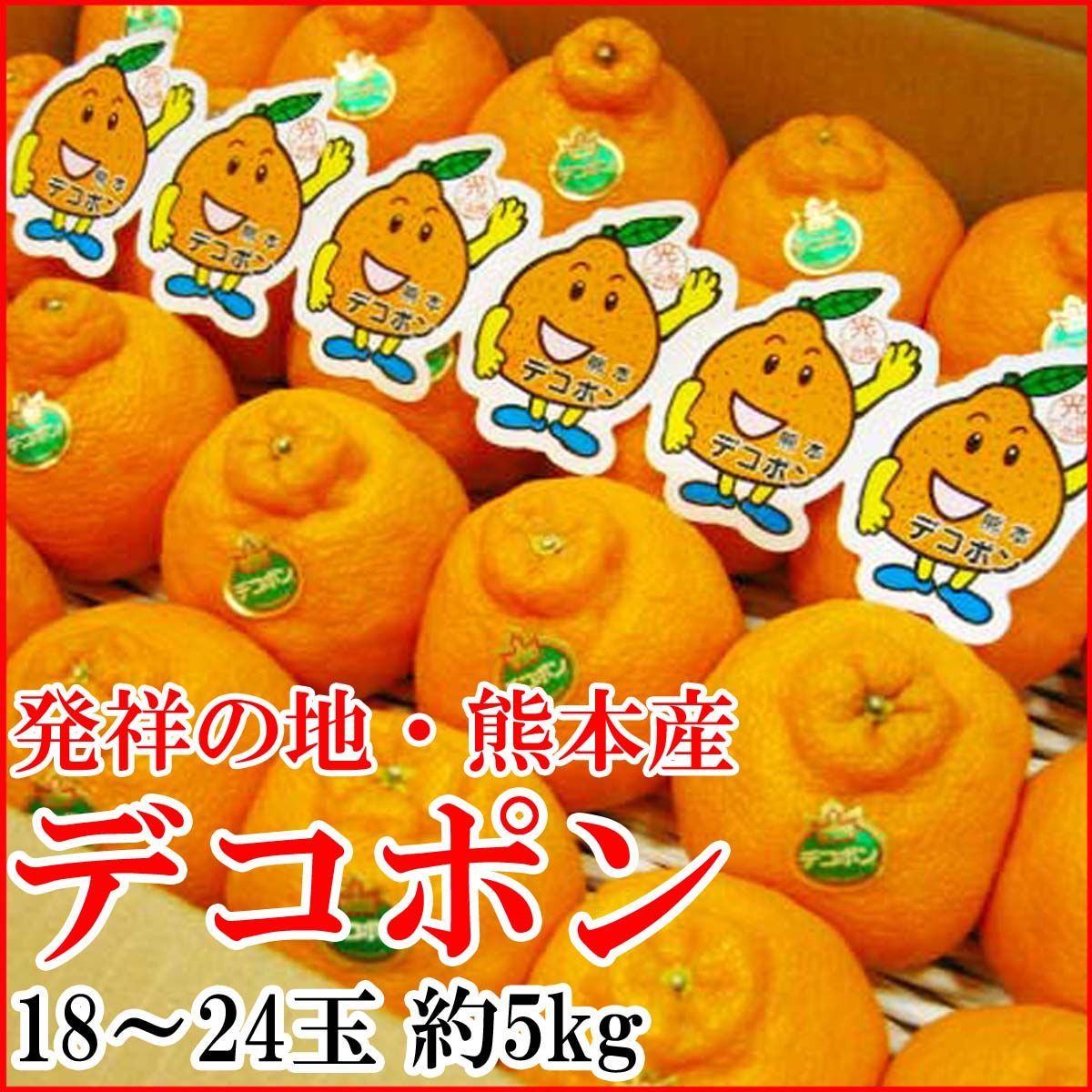 ja熊本果実連 デコポン 18〜24玉 約5kg 低温貯蔵 かんきつ類 贈答用 ご予約 品ではございません