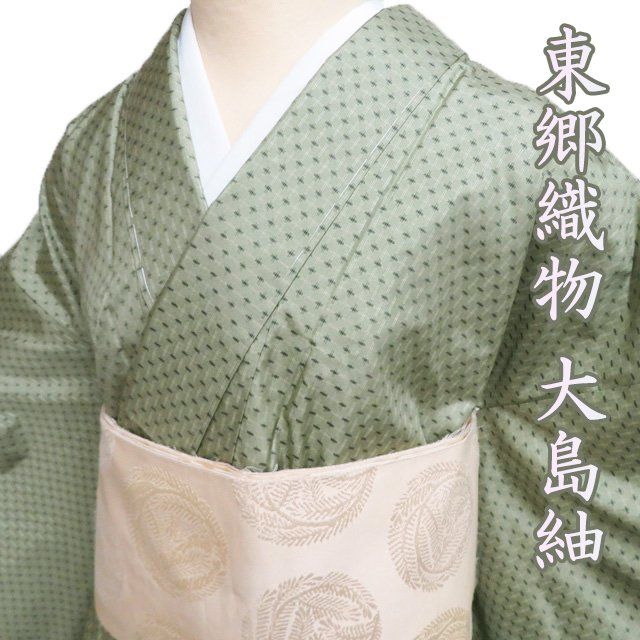 特選 大島紬 着物 ♥ 正絹 袷 カジュアル 東郷織物 十字絣模様 柳染色 黒色 身丈155cm 裄64.5cm SA きもの北條 A1285-2