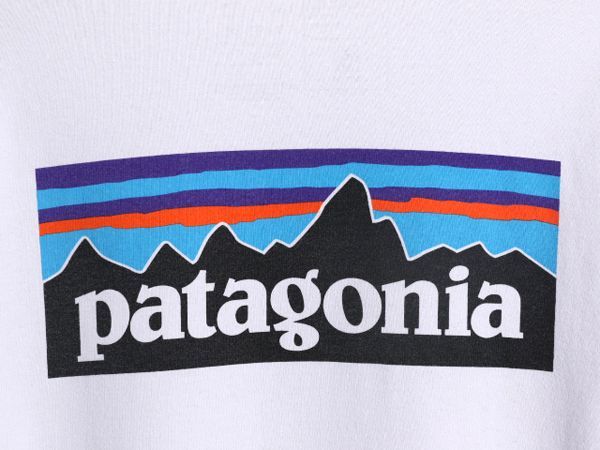 20年製 パタゴニア 両面 プリント 長袖 Tシャツ メンズ L / 古着 Patagonia アウトドア ロンT ロングスリーブ ロゴT P6  バックプリント 白 - メルカリ