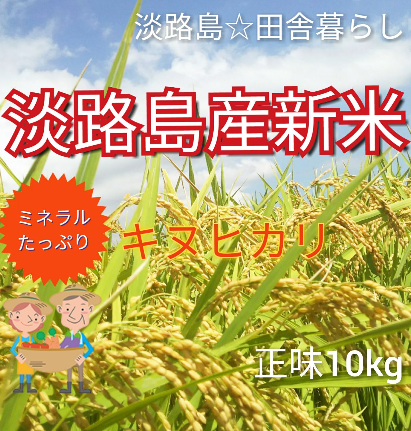 淡路島産 減農薬新米キヌヒカリ無洗米 農家直送 送料無料 お米 淡路島