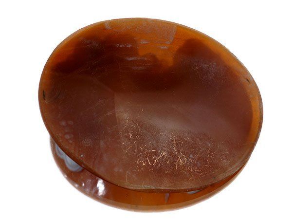 ジュエリー極】虫と凛々しい貴婦人 アンティークシェルカメオ