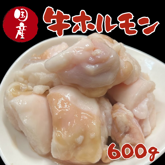 【お試しサイズ】国産牛　ホルモン600ｇ★もつ鍋・焼肉におすすめ★