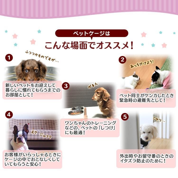 小動物