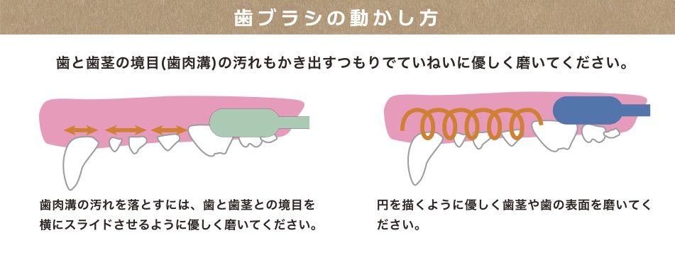 プリエブラシＳ＋ナノウエルオーラルケア5個