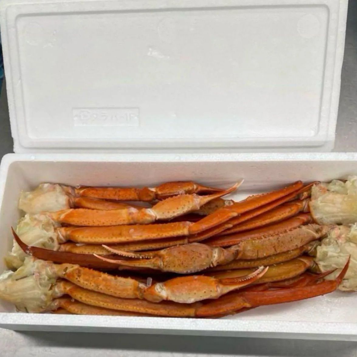 新品未使用】WALL MIRROR RO-017 SAC WORKS ミラー