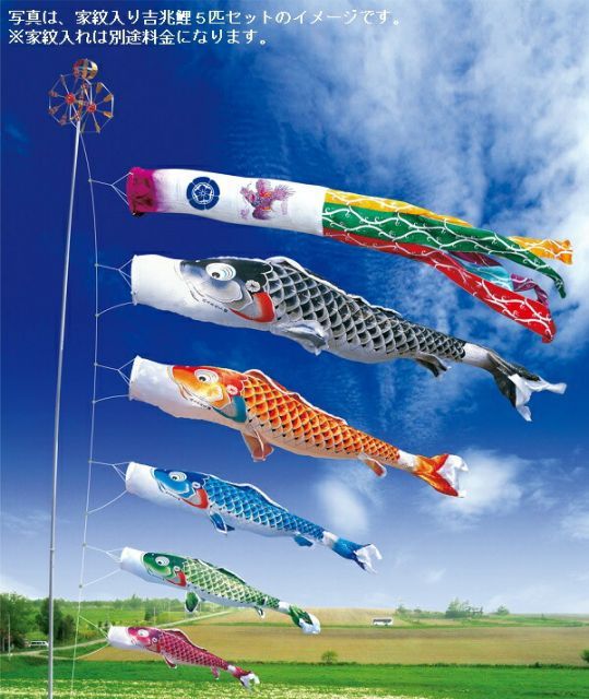 こいのぼり 徳永鯉 鯉のぼり 庭園用 2.5m6点ガーデンセット 杭打込 夢はるか 古典鯉幟 撥水加工 ポリエステルメロンアムンゼン 家紋・名入れ可能 118-316
