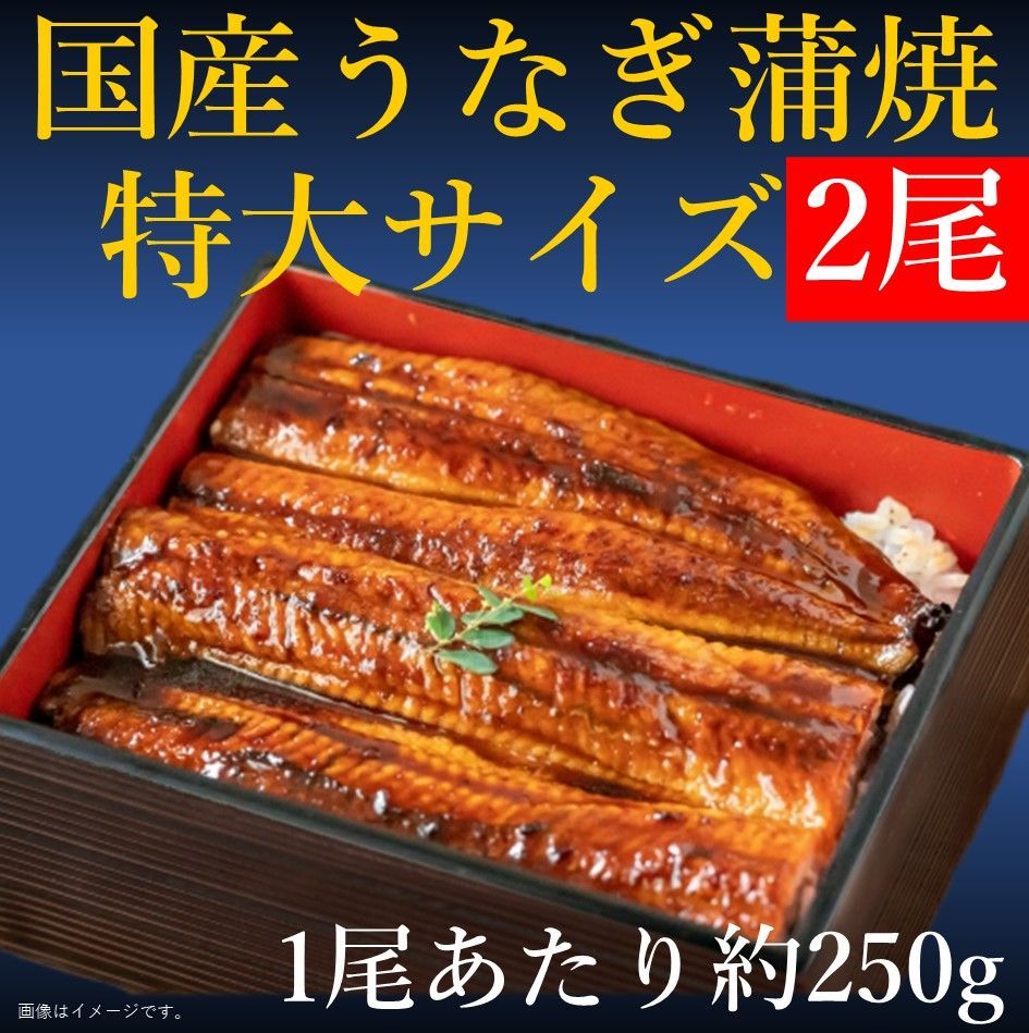 【鹿児島産鰻蒲焼特大サイズ2尾セット 6,500円】【税込 送料込】