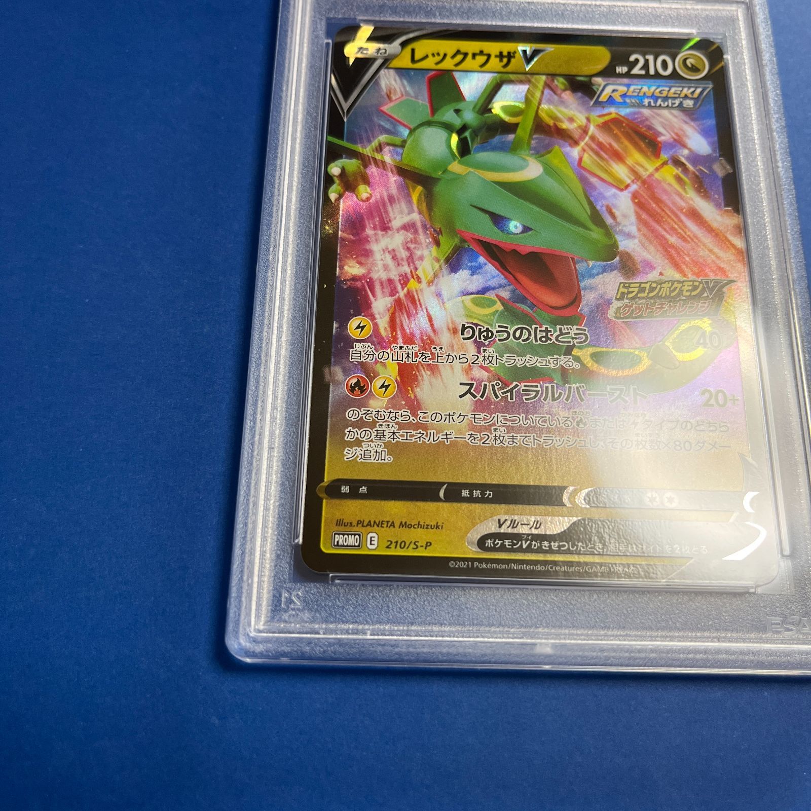 PSA10 ポケモンカード レックウザV プロモカード PSA鑑定 鑑定品