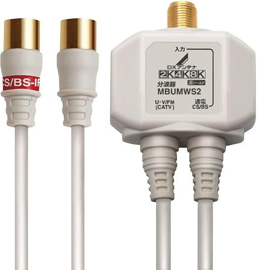 1918年 ブロンズメダル 教皇ベネディクトス XV