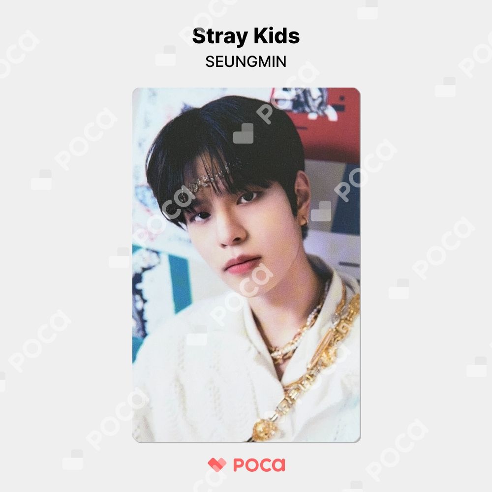straykids スンミン スキズ トレカ STRAY KIDS x SKZOO POP-UP