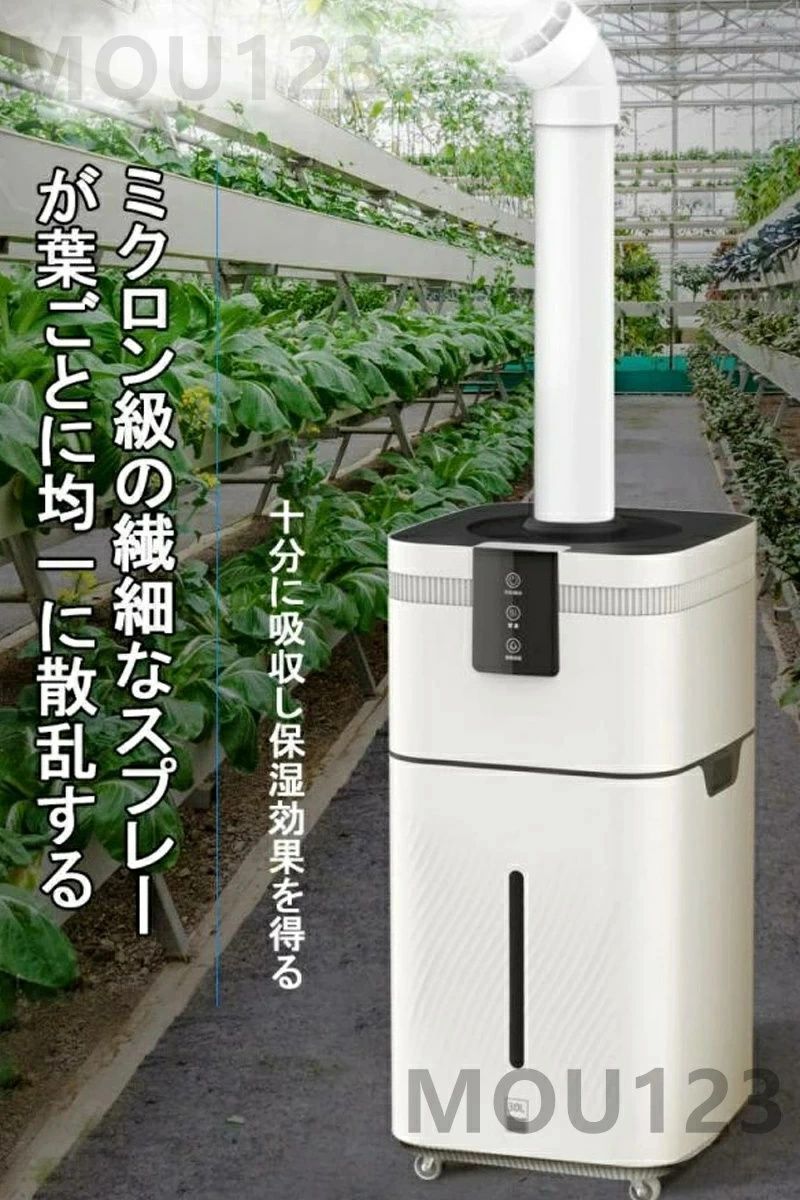 超音波