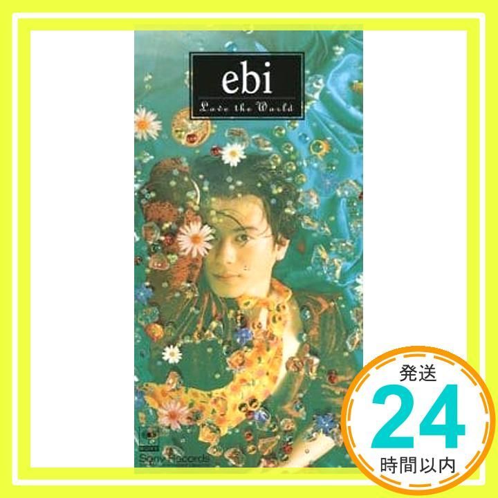 EBI（エビ）堀内一史 アーティストブック・VHSビデオ EBI（エビ）堀内一史 アーティストブック・vhs - メルカリ