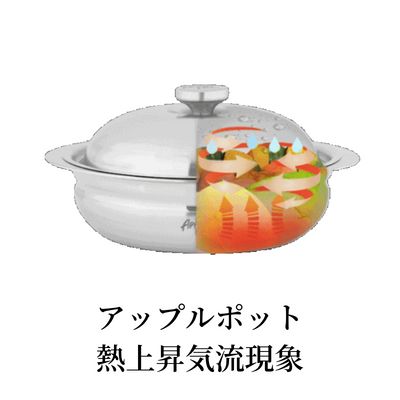 2～3人前に最適 apple