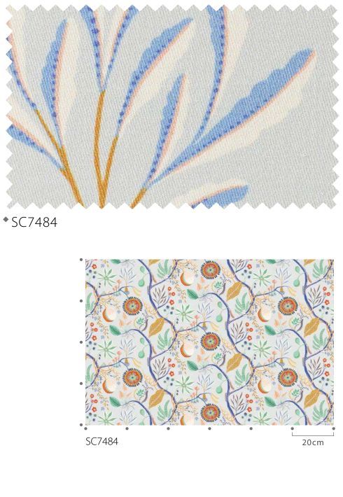 ジャックフルーツ ＆