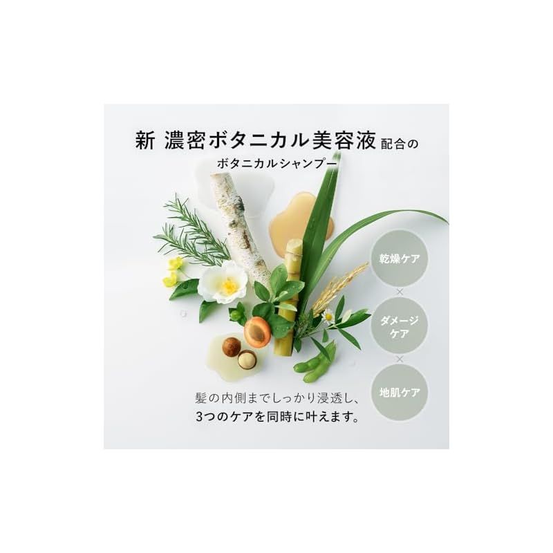 ボタニスト |