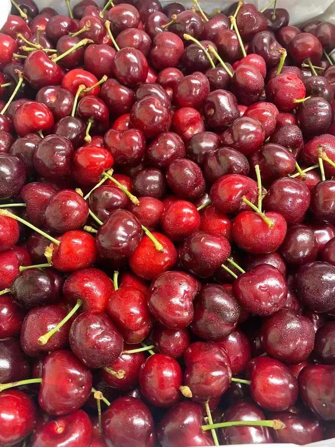 12月29日で終了即納新鮮 さくらんぼ チリ産3J 約3cm 2.5キロ